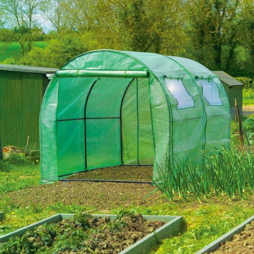Picture of Sprouting Premium Polytunnel Greenhouse
