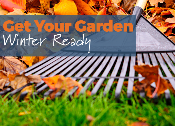 Get Your Garden Winter Ready